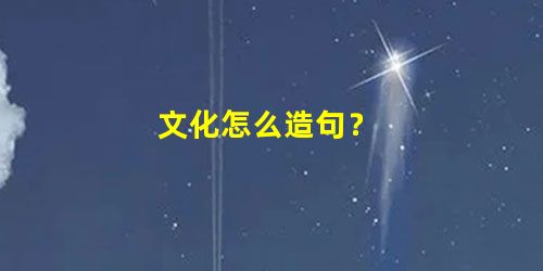 文化怎么造句? 文化怎么造句?