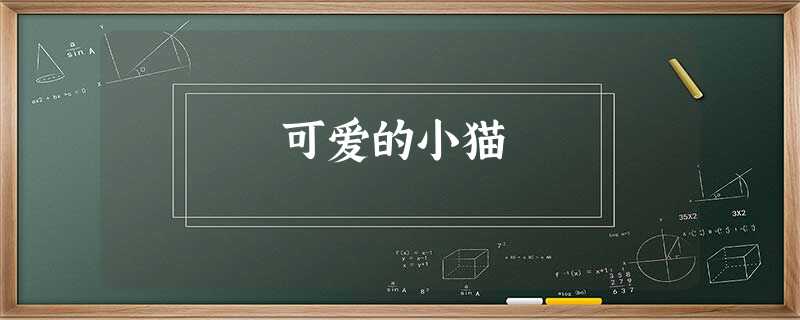 可爱的小猫 可爱的小猫