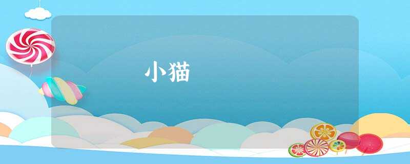 小猫 小猫