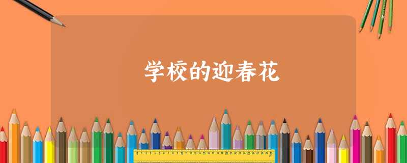 学校的迎春花 学校的迎春花