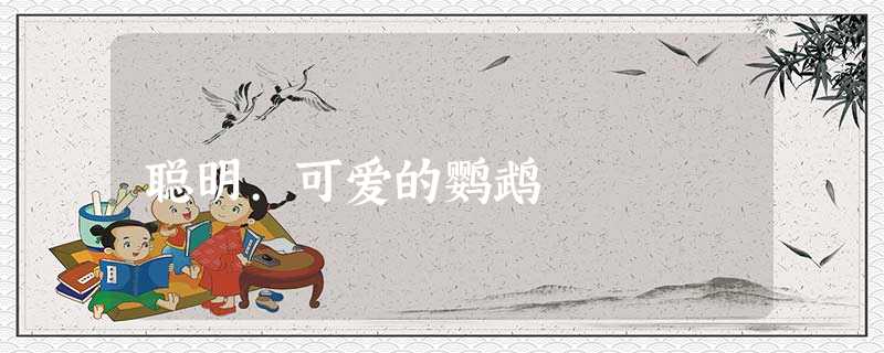 聪明.可爱的鹦鹉 聪明.可爱的鹦鹉