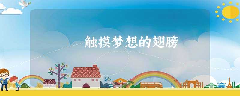 触摸梦想的翅膀 触摸梦想的翅膀