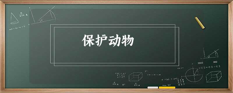 保护动物 保护动物