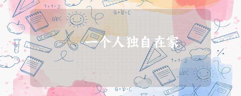 一个人独自在家 一个人独自在家