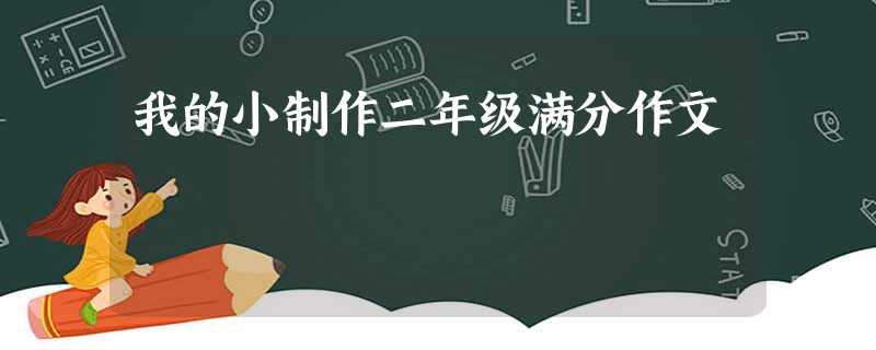 我的小制作二年级满分作文 我的小制作二年级满分作文