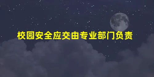 校园安全应交由专业部门负责 校园安全应交由专业部门负责