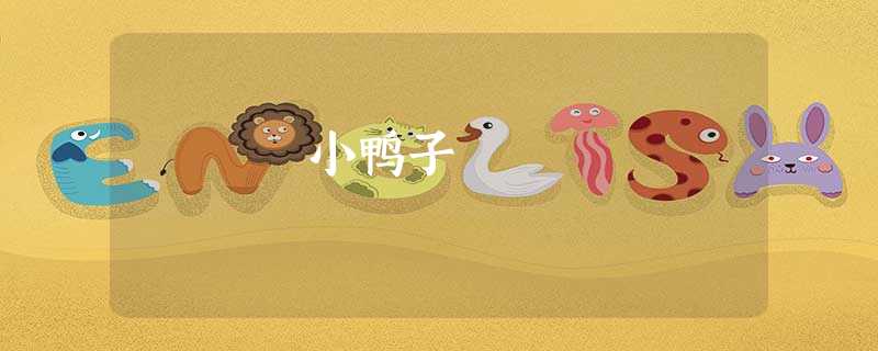 小鸭子 小鸭子