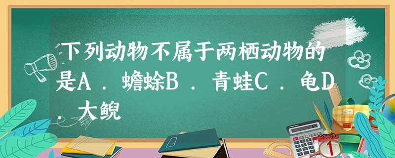 下列动物不属于两栖动物的是A.蟾蜍B.青蛙C.龟D.大鲵 下列动物不属于两栖动物的是A.蟾蜍B.青蛙C.龟D.大鲵