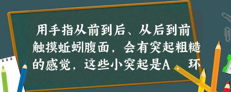 用手指从前到后、从后到前触摸蚯蚓腹面,会有突起粗糙的感觉,这些小突起是A.环带B.环节C.刚毛D.疣足 用手指从前到后、从后到前触摸蚯蚓腹面,会有突起粗糙的感觉,这些小突起是A.环带B.环节C.刚毛D.疣足