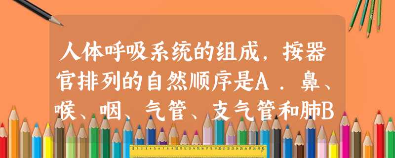 人体呼吸系统的组成,按器官排列的自然顺序是A.鼻、喉、咽、气管、支气管和肺B.咽、喉、支气管、气管和肺C.鼻、咽、喉、气管、支气管和肺D.口腔、鼻、咽、 人体呼吸系统的组成,按器官排列的自然顺序是A.鼻、喉、咽、气管、支气管和肺B.咽、喉、支气管、气管和肺C.鼻、咽、喉、气管、支气管和肺D.口腔、鼻、咽、