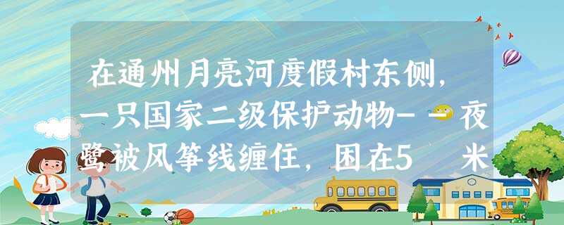在通州月亮河度假村东侧,一只国家二级保护动物--夜鹭被风筝线缠住,困在5 米多高的高压线上。通州新华街消防中队的消防员消防员穿上绝缘服、戴上绝缘手套 在通州月亮河度假村东侧,一只国家二级保护动物--夜鹭被风筝线缠住,困在5 米多高的高压线上。通州新华街消防中队的消防员消防员穿上绝缘服、戴上绝缘手套