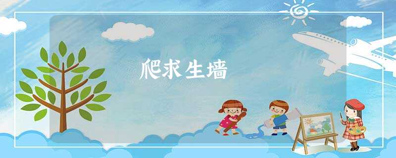 爬求生墙 爬求生墙