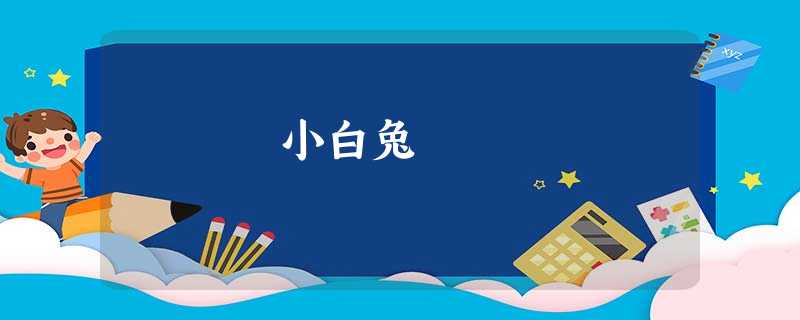 小白兔 小白兔