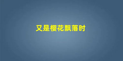 又是樱花飘落时 又是樱花飘落时