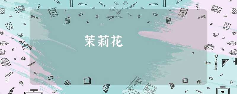茉莉花 茉莉花