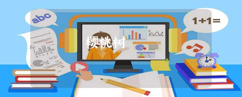 樱桃树 樱桃树