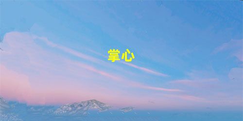 掌心 掌心