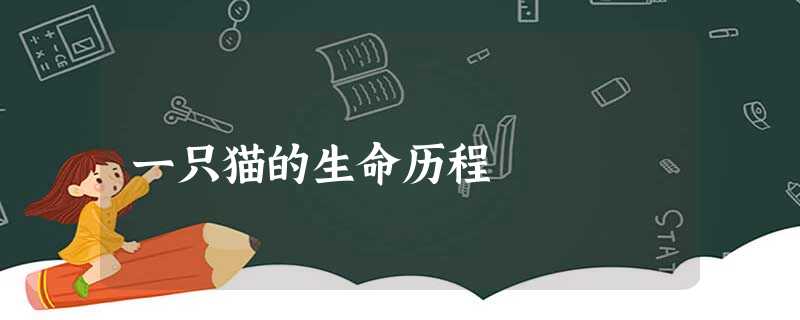一只猫的生命历程 一只猫的生命历程