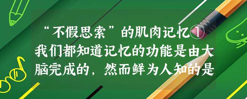 “不假思索”的肌肉记忆①我们都知道记忆的功能是由大脑完成的,然而鲜为人知的是,当人们需要记忆一些必须由身体参与的技能和运动时 “不假思索”的肌肉记忆①我们都知道记忆的功能是由大脑完成的,然而鲜为人知的是,当人们需要记忆一些必须由身体参与的技能和运动时