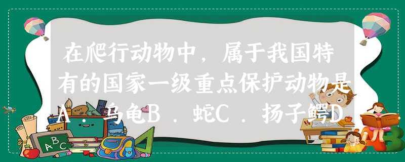 在爬行动物中,属于我国特有的国家一级重点保护动物是A.乌龟B.蛇C.扬子鳄D.大鲵 在爬行动物中,属于我国特有的国家一级重点保护动物是A.乌龟B.蛇C.扬子鳄D.大鲵