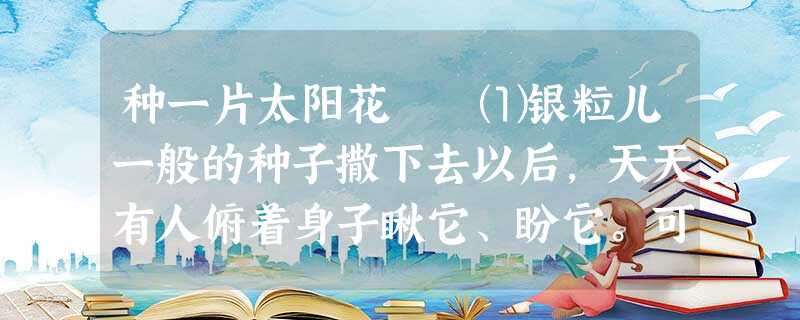 种一片太阳花 ⑴银粒儿一般的种子撒下去以后,天天有人俯着身子瞅它、盼它。可是大半月过 种一片太阳花 ⑴银粒儿一般的种子撒下去以后,天天有人俯着身子瞅它、盼它。可是大半月过