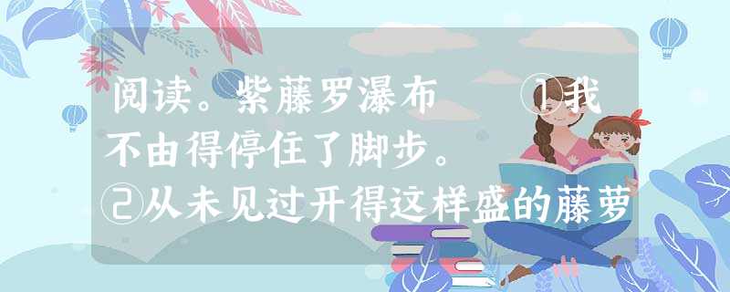 阅读。紫藤罗瀑布 ①我不由得停住了脚步。 ②从未见过开得这样盛的藤萝,只见一片辉煌的淡紫色,像一条瀑布,从空中垂 阅读。紫藤罗瀑布 ①我不由得停住了脚步。 ②从未见过开得这样盛的藤萝,只见一片辉煌的淡紫色,像一条瀑布,从空中垂