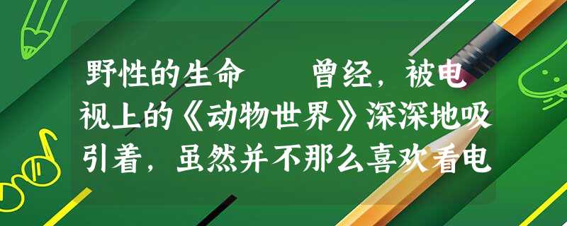 野性的生命 曾经,被电视上的《动物世界》深深地吸引着,虽然并不那么喜欢看电视节目。喜欢它,并不是因为难得见到这些凶猛的大型 野性的生命 曾经,被电视上的《动物世界》深深地吸引着,虽然并不那么喜欢看电视节目。喜欢它,并不是因为难得见到这些凶猛的大型