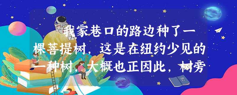我家巷口的路边种了一棵菩提树,这是在纽约少见的一种树,大概也正因此,树旁特别支撑了木架,使它能不怕强风,长得郁郁葱葱。 今 我家巷口的路边种了一棵菩提树,这是在纽约少见的一种树,大概也正因此,树旁特别支撑了木架,使它能不怕强风,长得郁郁葱葱。 今