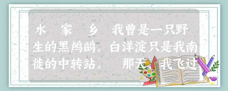 水 家 乡 我曾是一只野生的黑鸬鹚,白洋淀只是我南徙的中转站。 那天,我飞过浩淼的水面 水 家 乡 我曾是一只野生的黑鸬鹚,白洋淀只是我南徙的中转站。 那天,我飞过浩淼的水面
