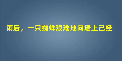 雨后,一只蜘蛛艰难地向墙上已经支离破碎的网爬去。由于墙壁潮湿,它爬到一定的高度,就会掉下来。它一次次地向上爬。一次次地又掉下来……第一个人看到了,他叹了一口气 雨后,一只蜘蛛艰难地向墙上已经支离破碎的网爬去。由于墙壁潮湿,它爬到一定的高度,就会掉下来。它一次次地向上爬。一次次地又掉下来……第一个人看到了,他叹了一口气