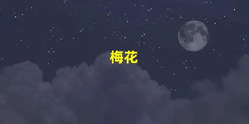 梅花 梅花