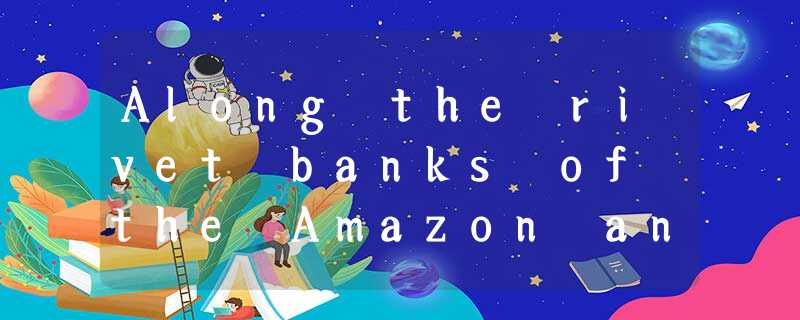 Along the rivet banks of the Amazon and the Orinoco there lives a bird that swim Along the rivet banks of the Amazon and the Orinoco there lives a bird that swim