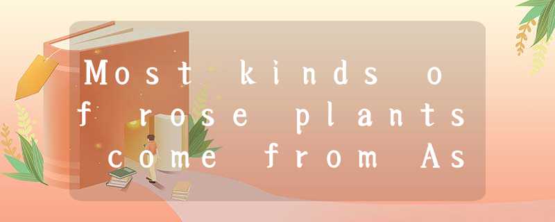 Most kinds of rose plants come from Asia. But roses are also native to other are Most kinds of rose plants come from Asia. But roses are also native to other are