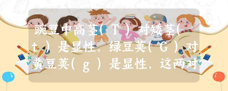 豌豆中高茎(T)对矮茎(t)是显性,绿豆荚(G)对黄豆荚(g)是显性,这两对基因是自由组合的,则Ttgg与TtGg杂交子代的基因型和表现型的种类依次 豌豆中高茎(T)对矮茎(t)是显性,绿豆荚(G)对黄豆荚(g)是显性,这两对基因是自由组合的,则Ttgg与TtGg杂交子代的基因型和表现型的种类依次