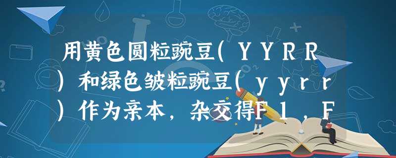 用黄色圆粒豌豆(YYRR)和绿色皱粒豌豆(yyrr)作为亲本,杂交得F1,F1自交得F2。某研究性学习小组从F2中取一粒黄色圆粒(甲),欲鉴定其基因 用黄色圆粒豌豆(YYRR)和绿色皱粒豌豆(yyrr)作为亲本,杂交得F1,F1自交得F2。某研究性学习小组从F2中取一粒黄色圆粒(甲),欲鉴定其基因