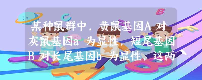 某种鼠群中,黄鼠基因A对灰鼠基因a为显性,短尾基因B对长尾基因b为显性,这两对基因是独立遗传的。现有两只基因型为AaBb的黄色短尾鼠交配,所生的子代 某种鼠群中,黄鼠基因A对灰鼠基因a为显性,短尾基因B对长尾基因b为显性,这两对基因是独立遗传的。现有两只基因型为AaBb的黄色短尾鼠交配,所生的子代