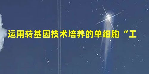 运用转基因技术培养的单细胞“工程硅藻”,可把光合作用合成的有机物以脂质形式储存起来。科学家计划在海水中大量培养“工程硅藻”,捕捞后从中提炼“生物柴油 运用转基因技术培养的单细胞“工程硅藻”,可把光合作用合成的有机物以脂质形式储存起来。科学家计划在海水中大量培养“工程硅藻”,捕捞后从中提炼“生物柴油