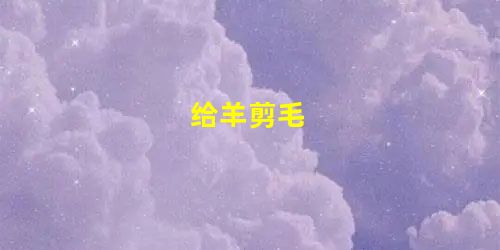 给羊剪毛 给羊剪毛