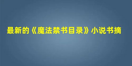 最新的《魔法禁书目录》小说书摘 最新的《魔法禁书目录》小说书摘