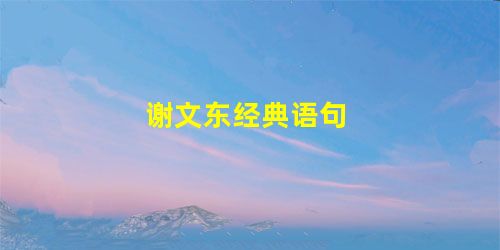 谢文东经典语句 谢文东经典语句