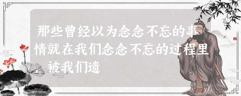 那些曾经以为念念不忘的事情就在我们念念不忘的过程里,被我们遗 那些曾经以为念念不忘的事情就在我们念念不忘的过程里,被我们遗