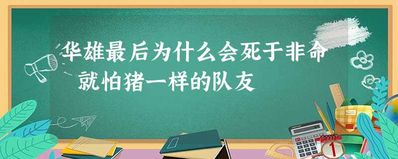 华雄最后为什么会死于非命 就怕猪一样的队友 华雄最后为什么会死于非命 就怕猪一样的队友