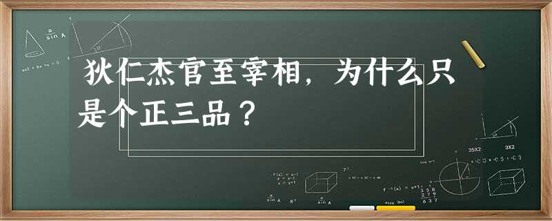 狄仁杰官至宰相,为什么只是个正三品? 狄仁杰官至宰相,为什么只是个正三品?