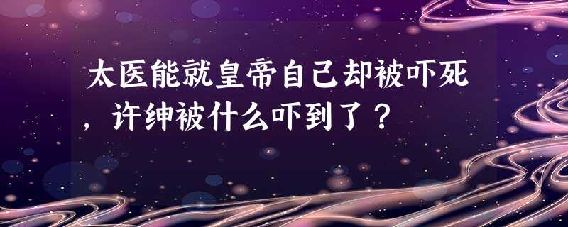 太医能就皇帝自己却被吓死,许绅被什么吓到了? 太医能就皇帝自己却被吓死,许绅被什么吓到了?