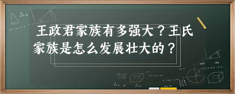 王政君家族有多强大?王氏家族是怎么发展壮大的? 王政君家族有多强大?王氏家族是怎么发展壮大的?