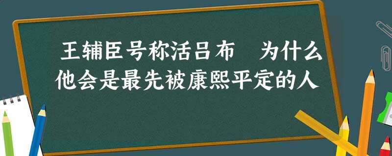 王辅臣号称活吕布 为什么他会是最先被康熙平定的人 王辅臣号称活吕布 为什么他会是最先被康熙平定的人
