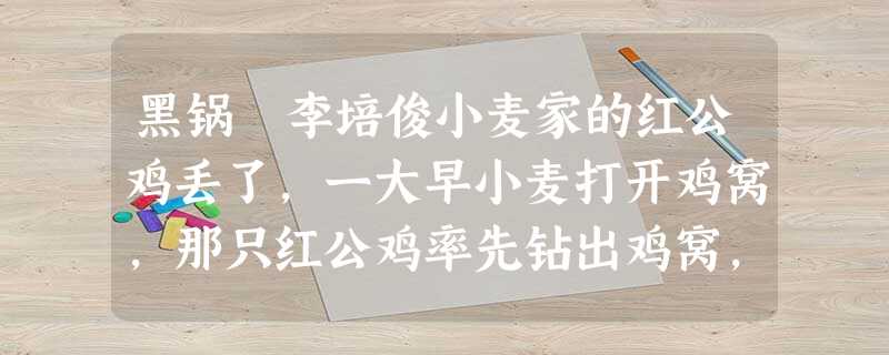 黑锅 李培俊小麦家的红公鸡丢了,一大早小麦打开鸡窝,那只红公鸡率先钻出鸡窝,拍打着翅膀飞上墙头,撒过欢,落在榆树下的阴凉 黑锅 李培俊小麦家的红公鸡丢了,一大早小麦打开鸡窝,那只红公鸡率先钻出鸡窝,拍打着翅膀飞上墙头,撒过欢,落在榆树下的阴凉
