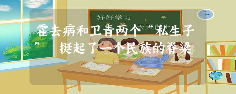霍去病和卫青两个“私生子” 挺起了一个民族的脊梁 霍去病和卫青两个“私生子” 挺起了一个民族的脊梁