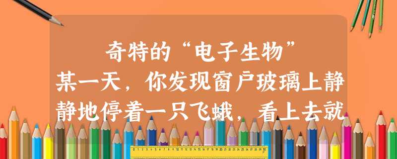 奇特的“电子生物” 某一天,你发现窗户玻璃上静静地停着一只飞蛾,看上去就像被你家的灯光吸引来的“不速之客”。如果这 奇特的“电子生物” 某一天,你发现窗户玻璃上静静地停着一只飞蛾,看上去就像被你家的灯光吸引来的“不速之客”。如果这