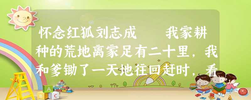 怀念红狐刘志成 我家耕种的荒地离家足有二十里,我和爹锄了一天地往回赶时,看见了那只叼去我家一只鸡的红狐在不远的沙丘上站着,眨着水漉漉的 怀念红狐刘志成 我家耕种的荒地离家足有二十里,我和爹锄了一天地往回赶时,看见了那只叼去我家一只鸡的红狐在不远的沙丘上站着,眨着水漉漉的